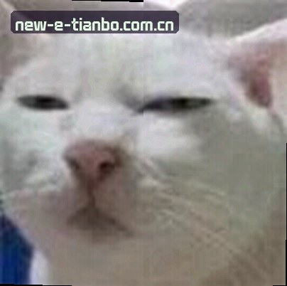 周婷