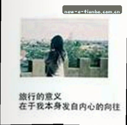赵磊